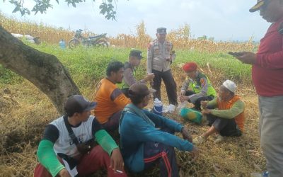 Dorong Produksi Pangan Pak Bhabin Bantu Petani Bojonegoro Panen Jagung
