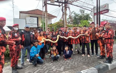 Minggu Keempat Ramadhan PP PAC Wonoayu Bagikan 1000 Takjil